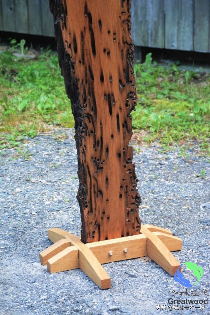 欧洲贵妇出轨被发现,欧洲白富美