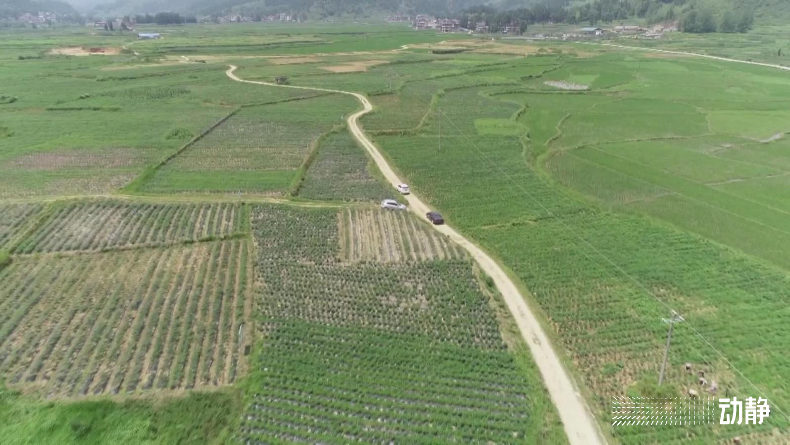 引进项目超2000个，金额上千亿！贵州长三角携手共赢