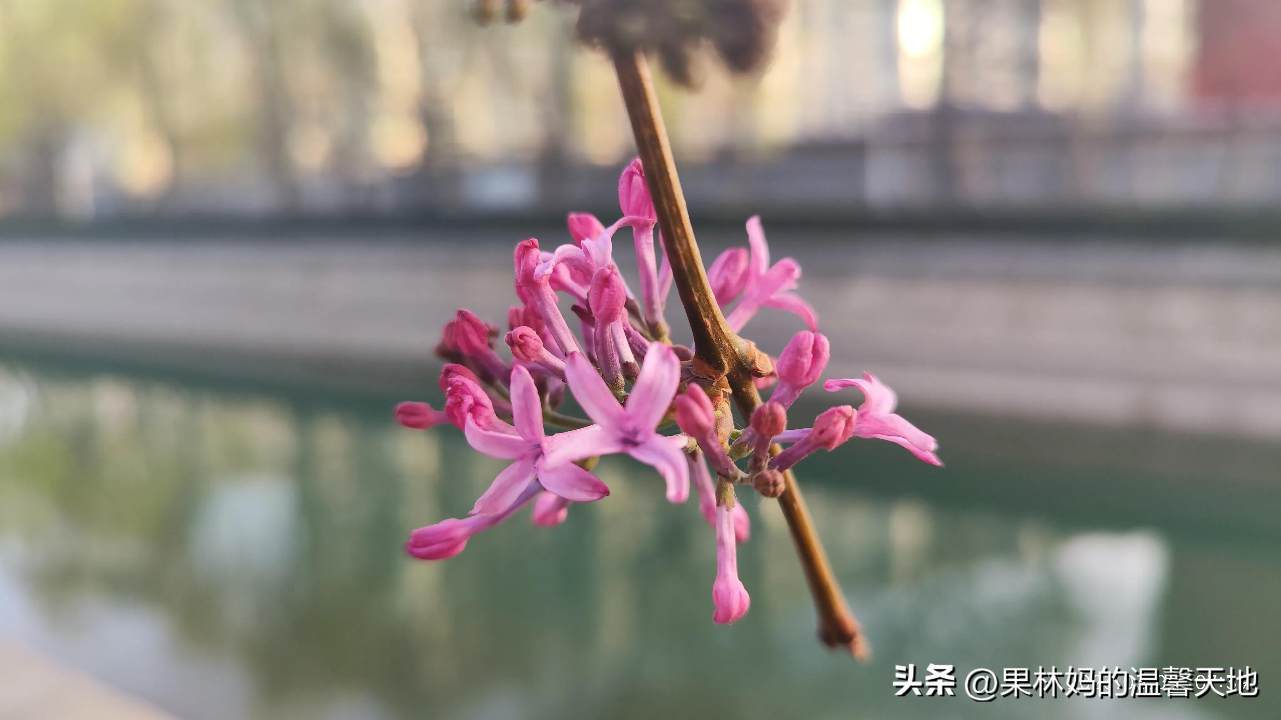 鼻腔有异物可以看急诊吗,晚上鼻腔异物看急诊