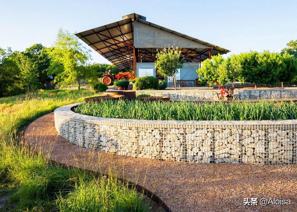 从零开始建造亲子农场投入多少,5种亲子农场的运营模式