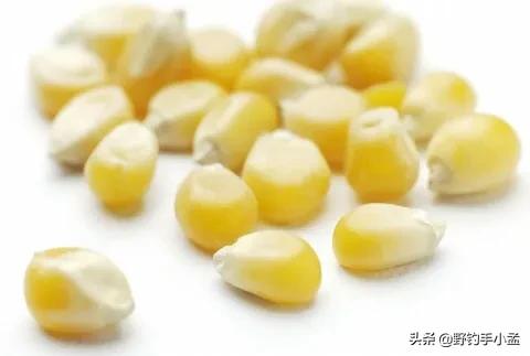 钓鱼十几年，唯独这种钓法戒不掉，不仅省事，关键钓的鱼还大