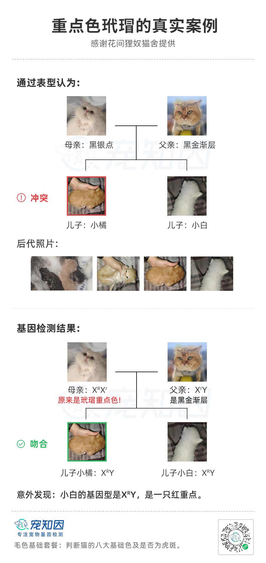 基因克隆最新突破,基因最新突破