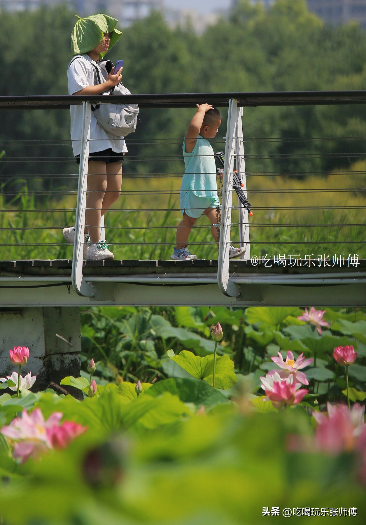 夜幕下哈尔滨大剧院高清大图,哈尔滨大剧院的冰雪与光影