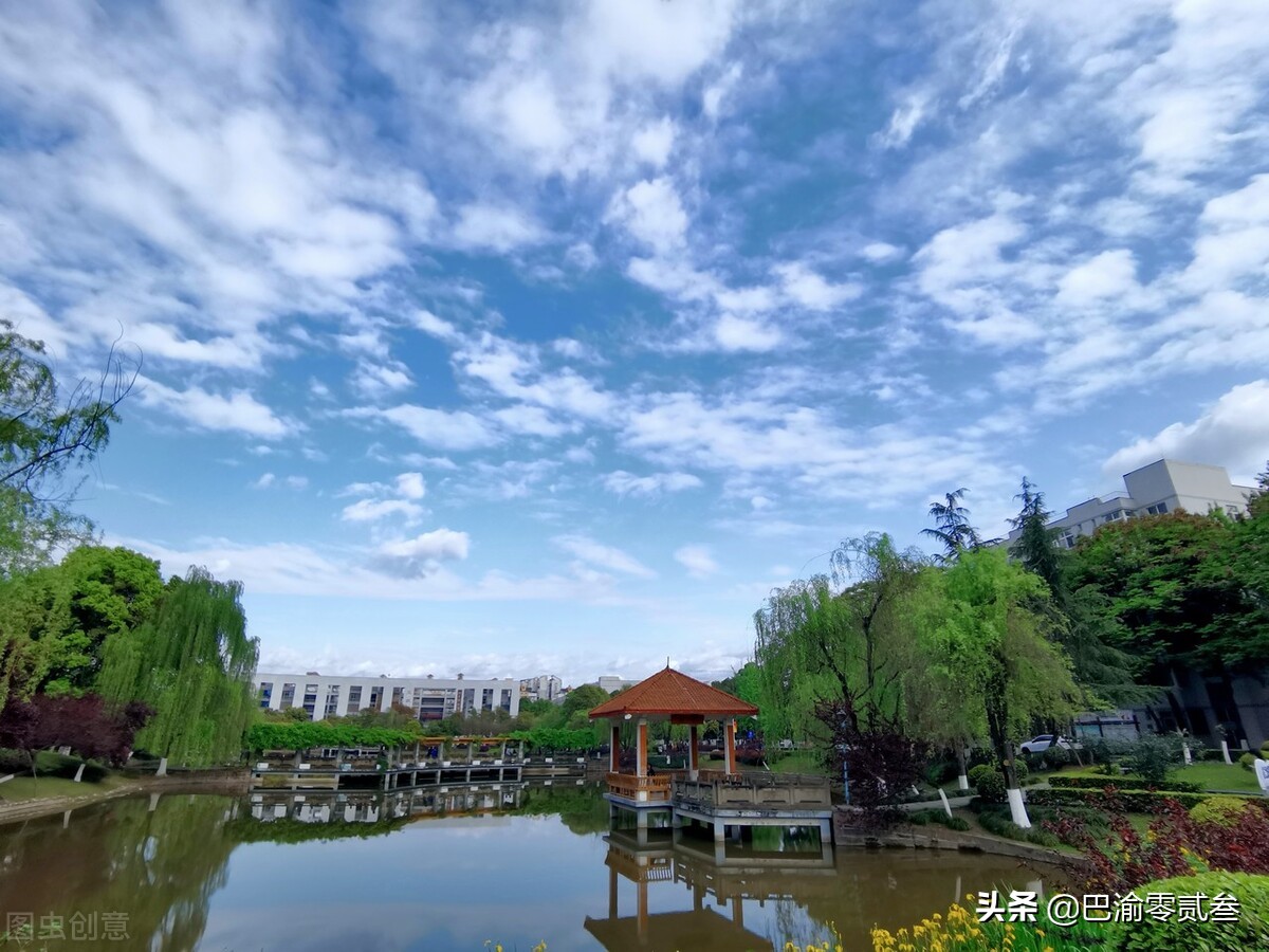 四川美术学院收不收港澳生,四川美术学院不能迁回四川吗