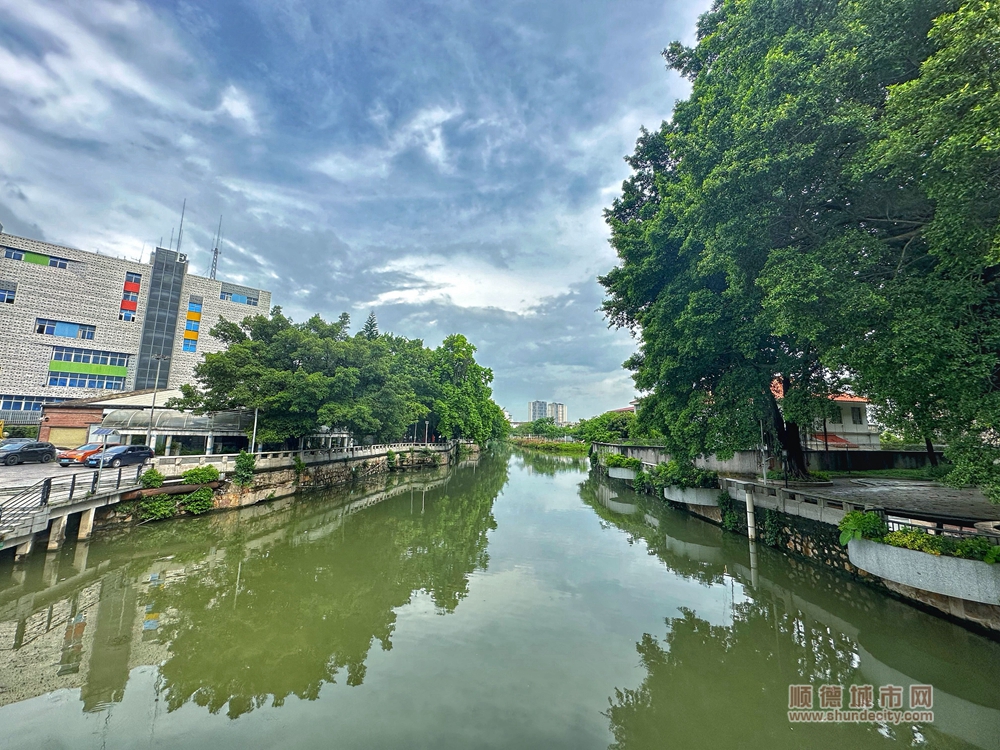 趣北滘|“细海”不是海？“简岸”不简单！