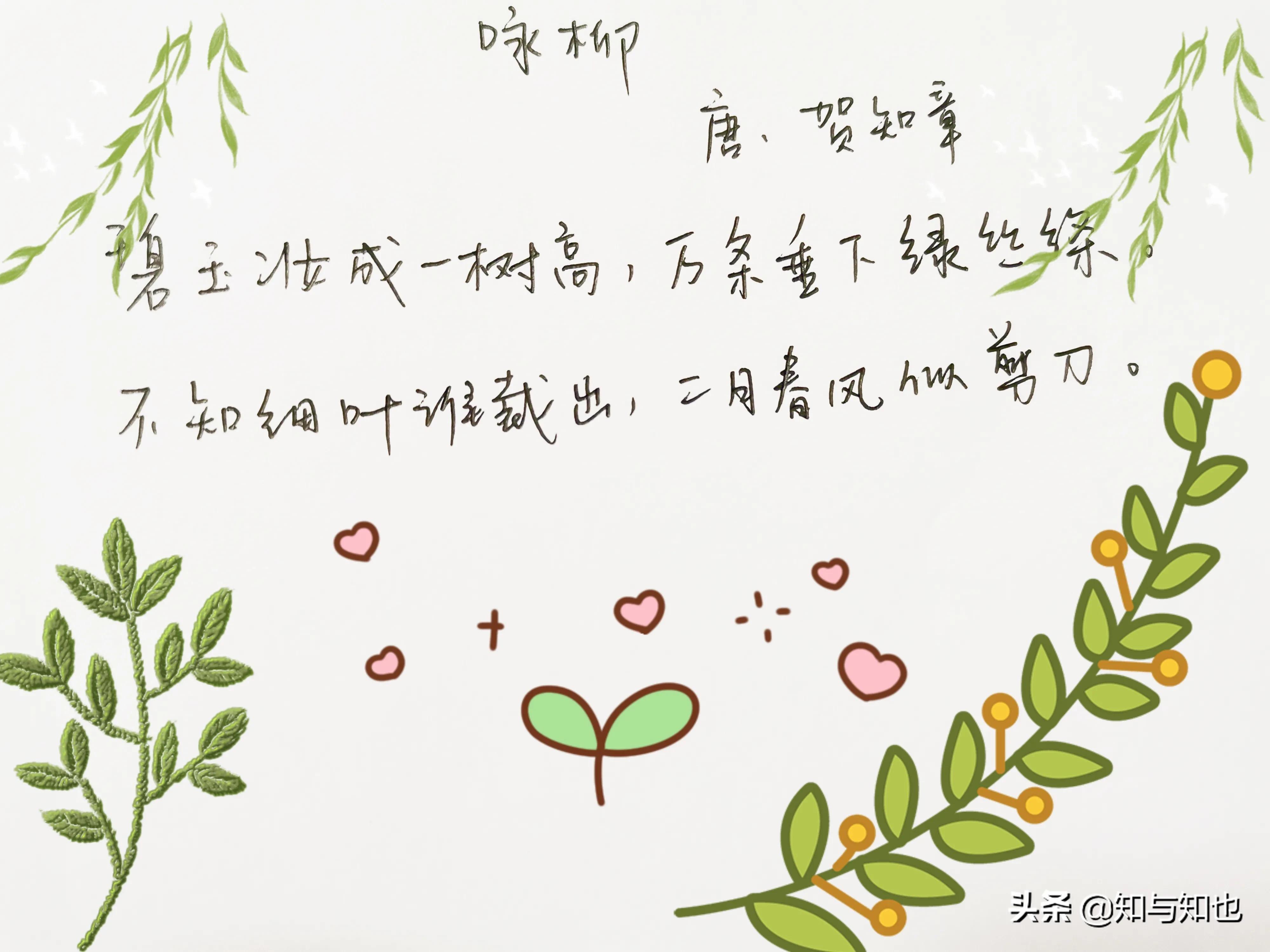 儿童唐诗三百首贺知章,咏柳贺知章儿童版古诗讲解