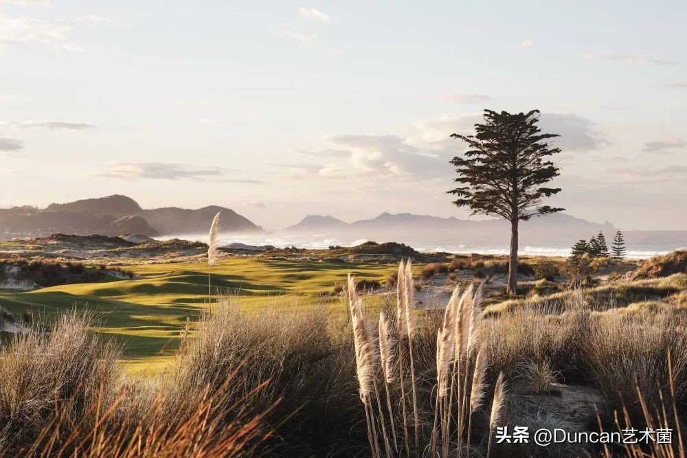 CheshireArchitects不拘泥于固定的风格！