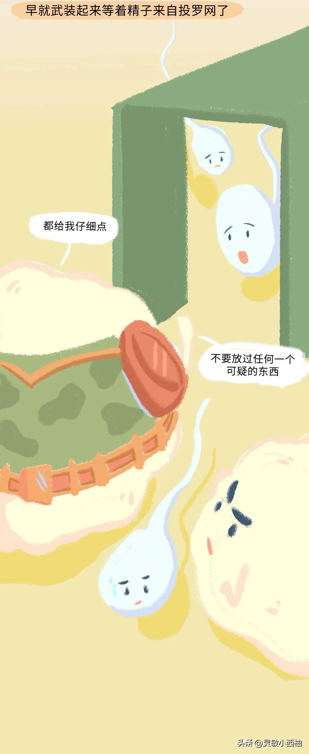 这就是精子进入女性体内的全过程，太神奇了！（漫画）