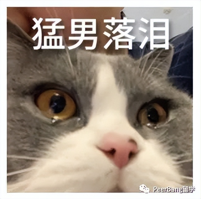 国外大学学费为什么这么贵,国外大学学费一年多少钱