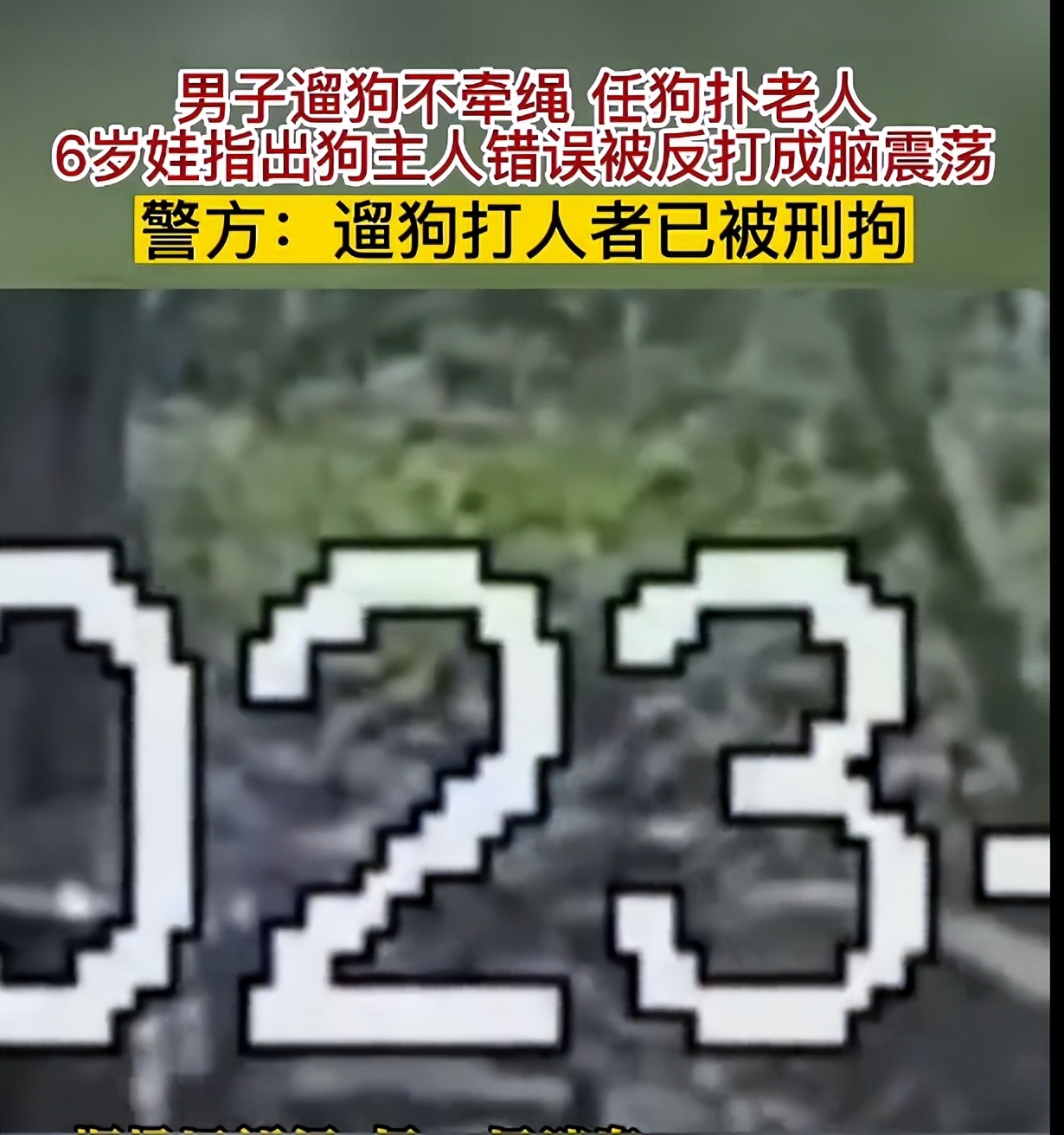 上海遛狗不拴绳男子已被处罚,上海遛狗打人者已被刑拘3年