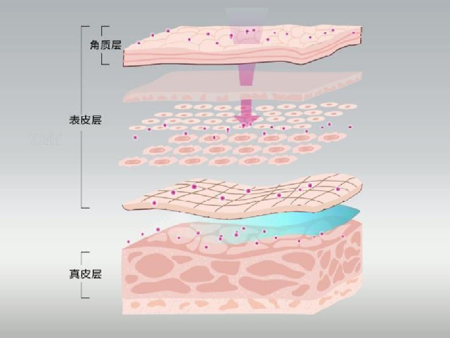 精油不容易吸收吗,精油不吸收怎么办