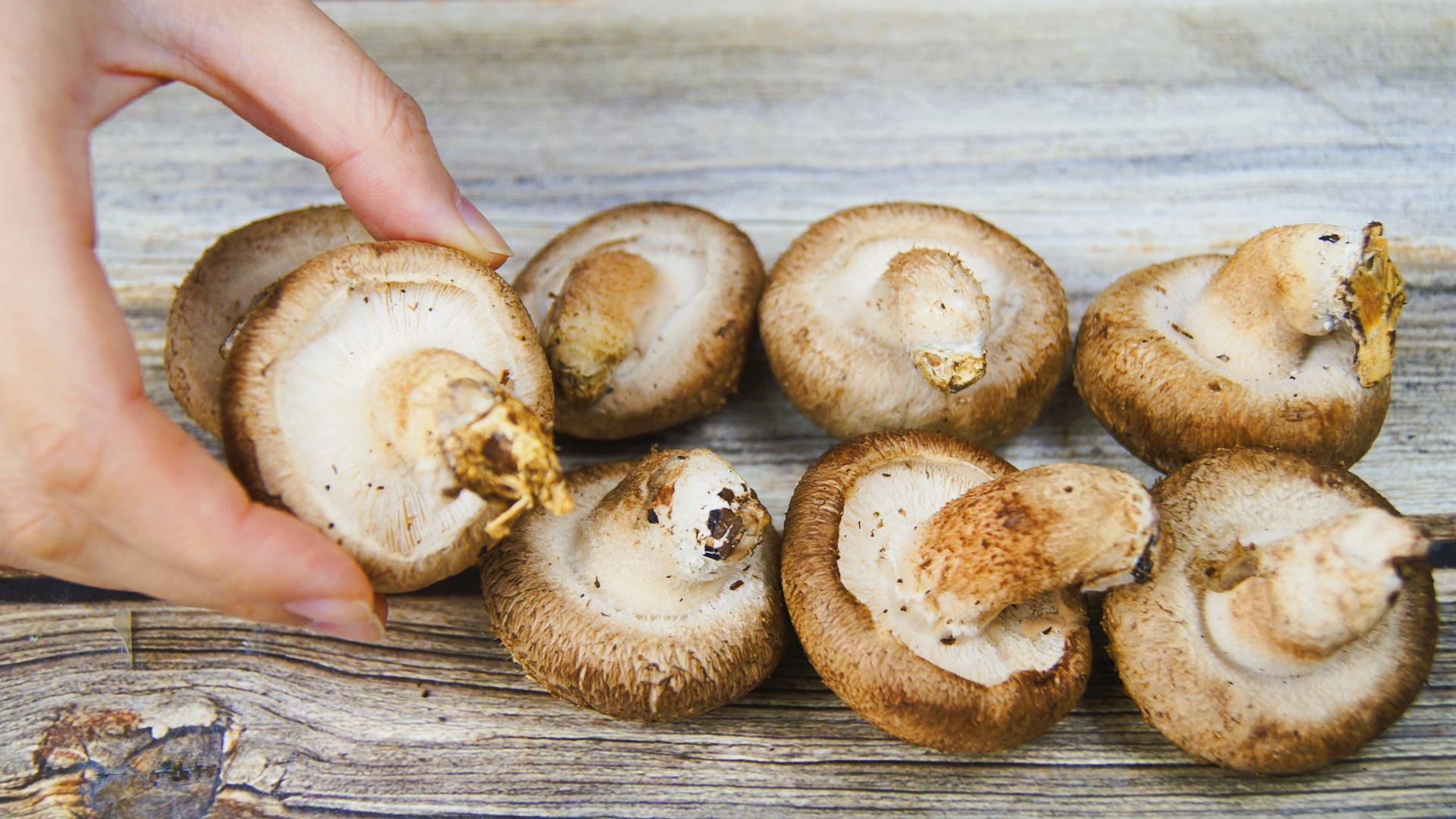 吃香菇到底要不要泡呢,吃香菇有什么讲究