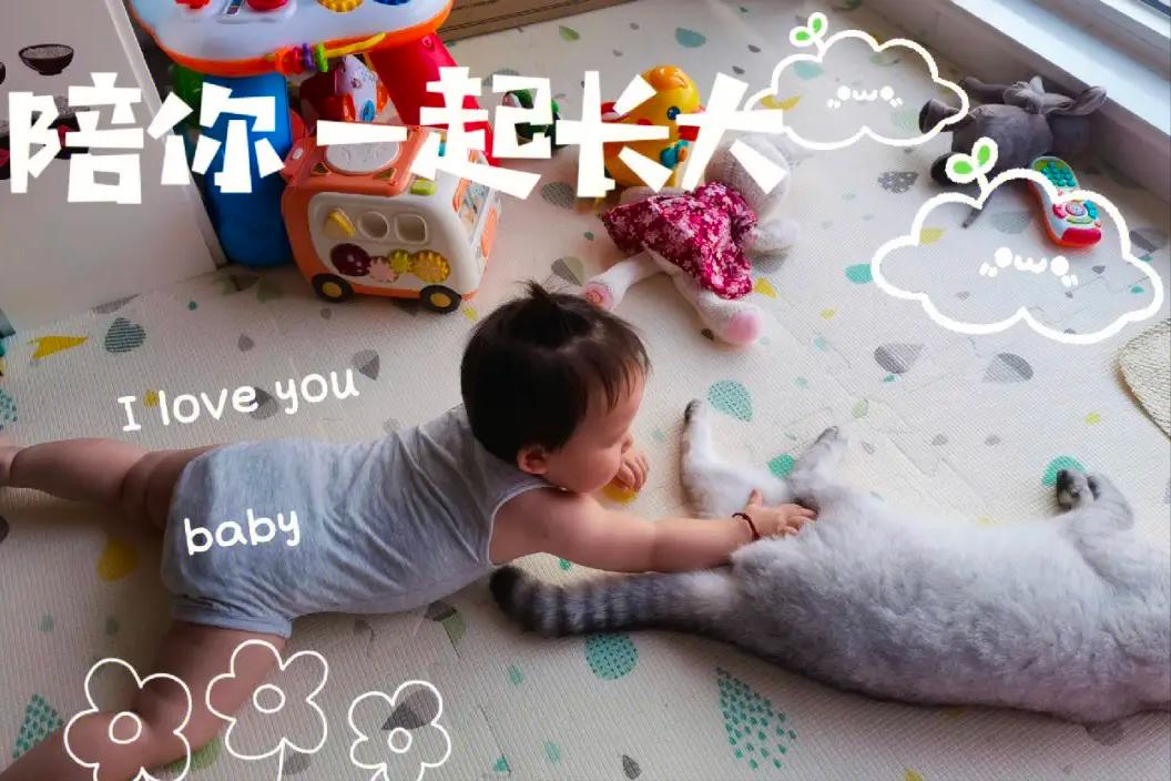 如果孩子想要一只宠物，家长先别左右为难，看完这篇文章再做决定