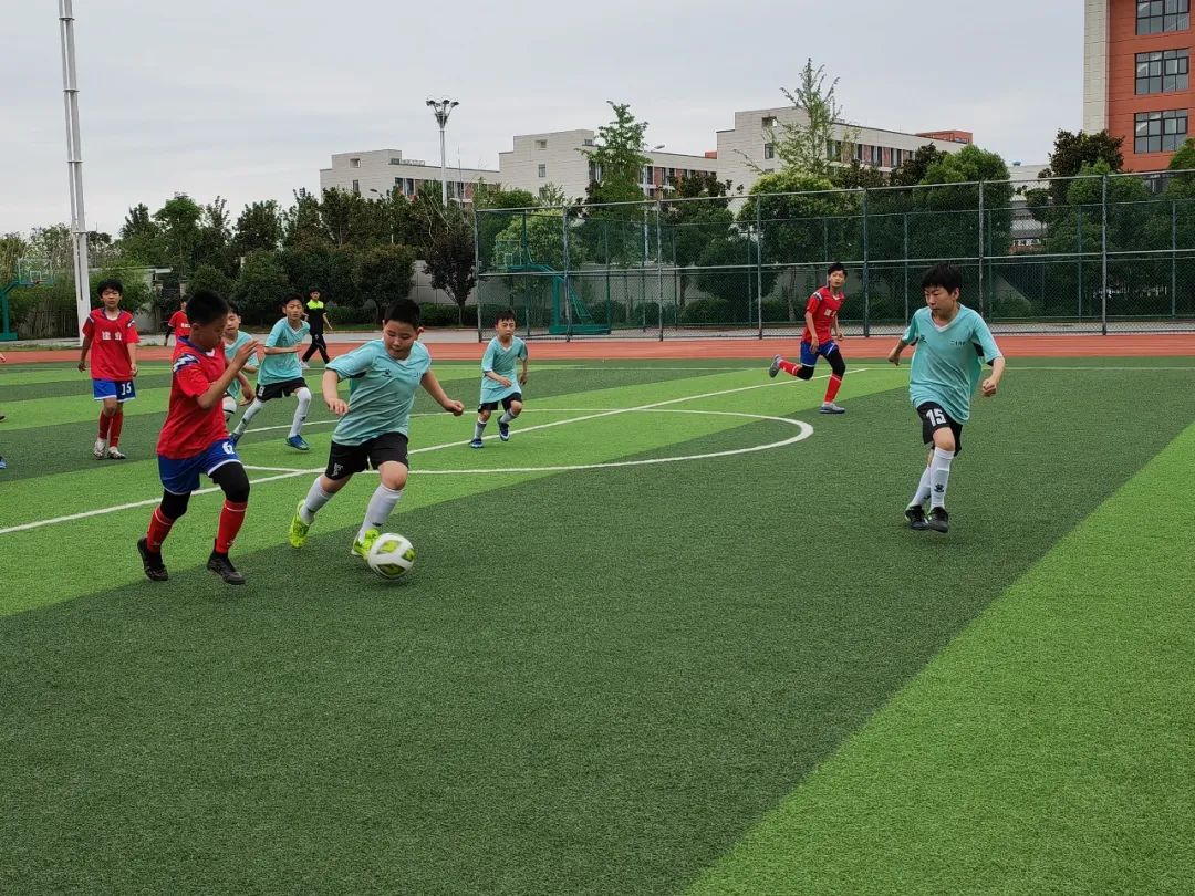 宛城区以文化建设促进乡村振兴,开展育人活动