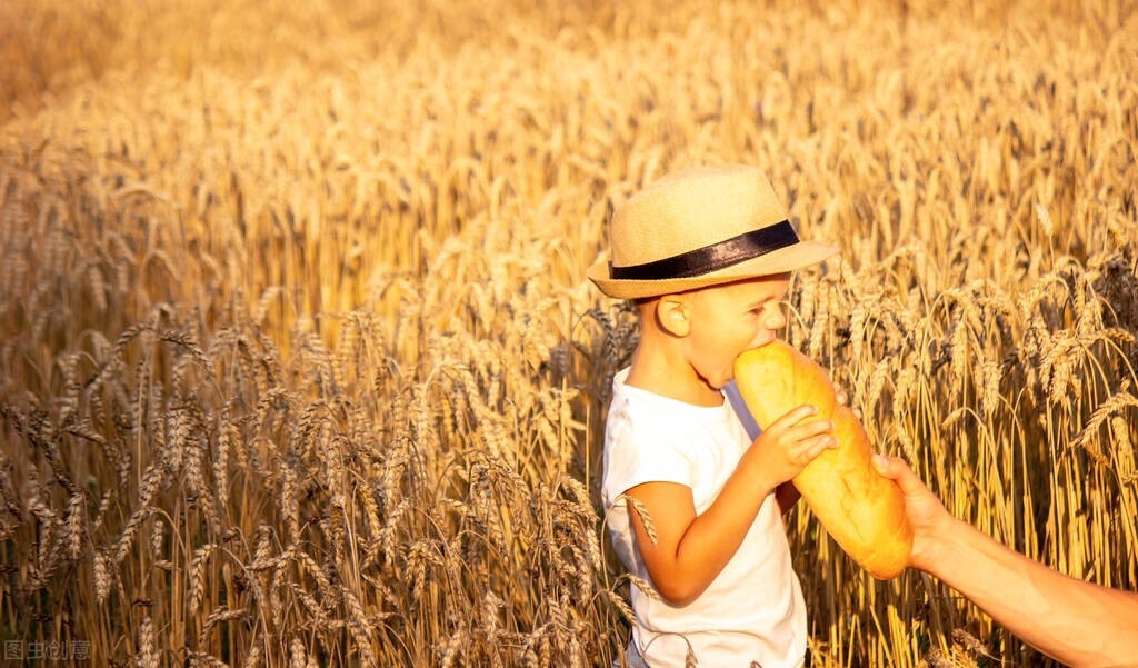磨牙棒婴儿饼干亨氏,亨氏磨牙棒的危害