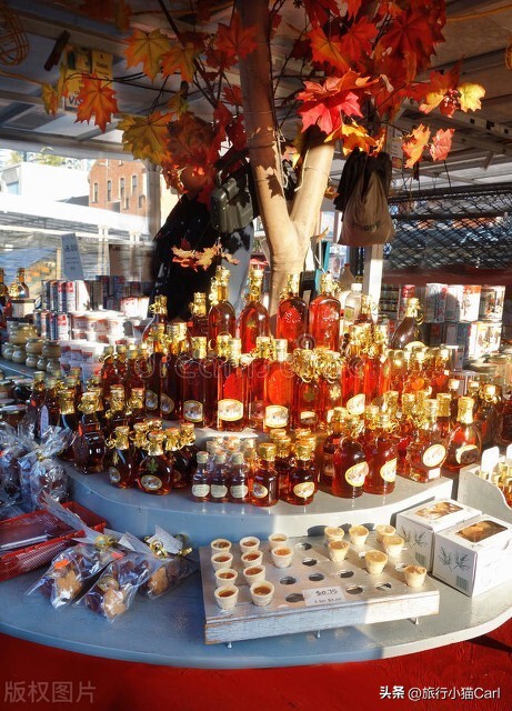 加拿大旅游攻略14天费用多少,加拿大旅游攻略最详细