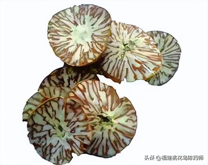 有毒的植物和解毒的草药,植物有毒药材名称大全