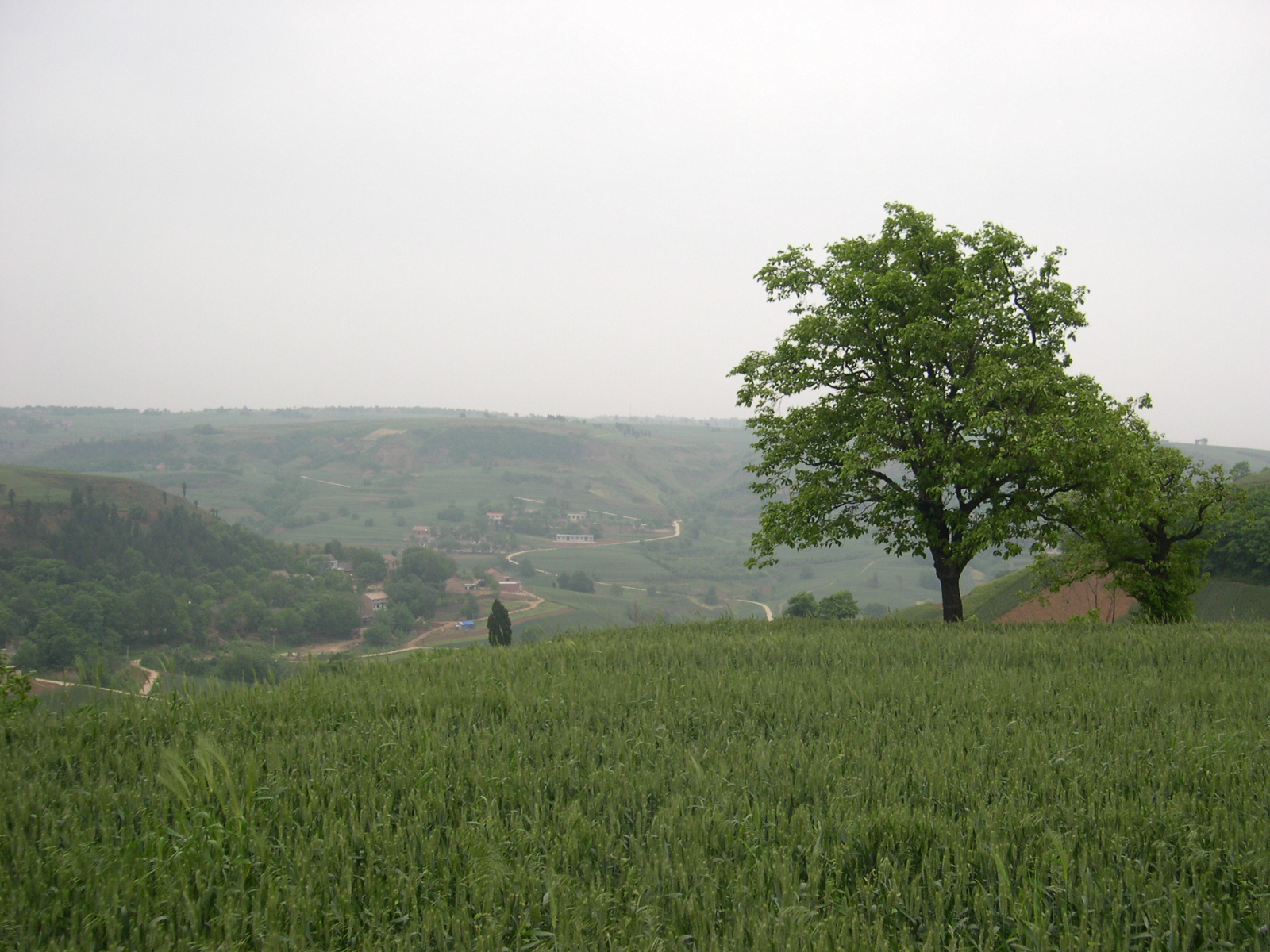 孔明：北沟这条路