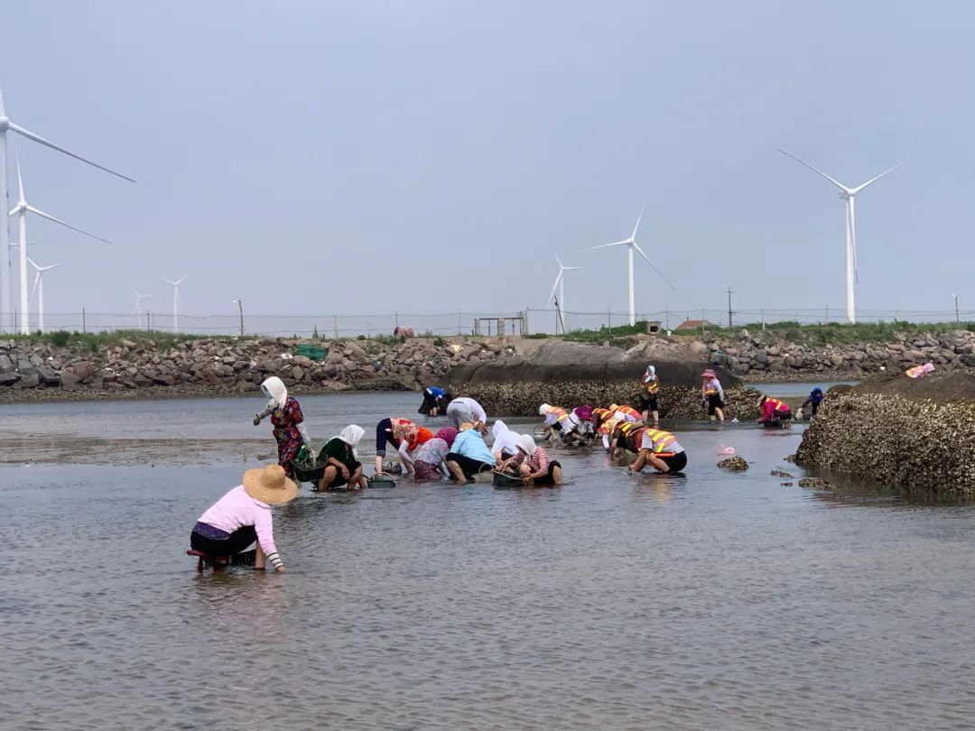 海边城市吃海鲜推荐,海边适合吃海鲜的小众城市