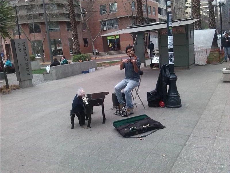 智利法罗群岛三文鱼,智利的三文鱼