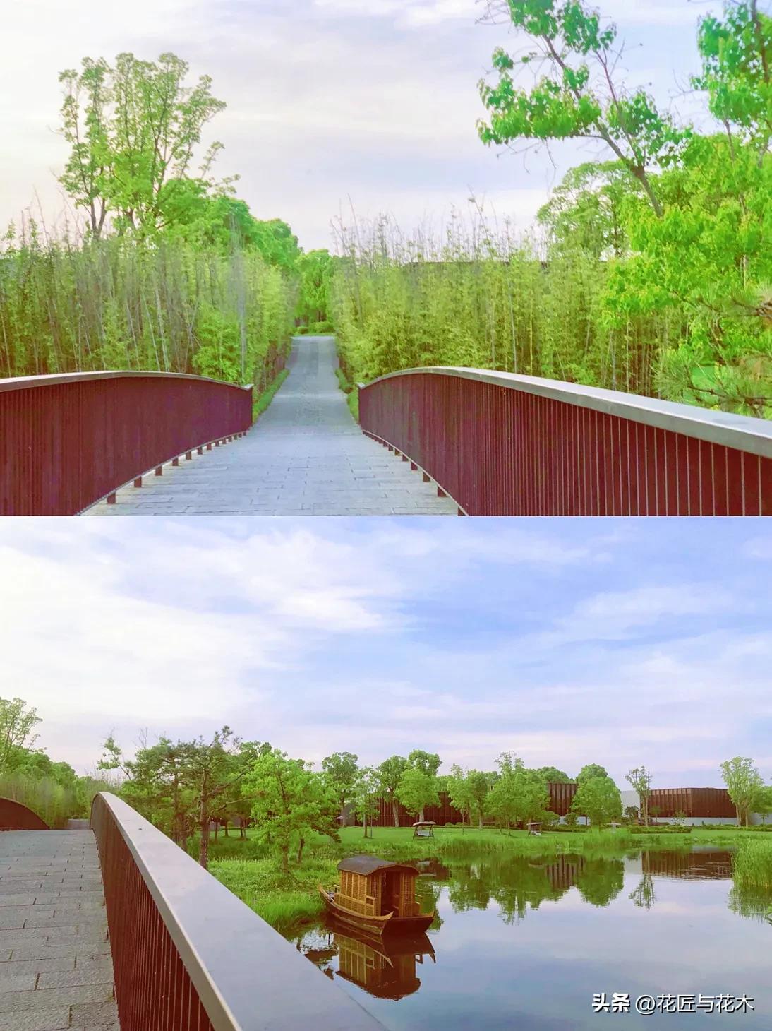 来上海住养云安缦享受园林风光,上海养云安缦剖面图