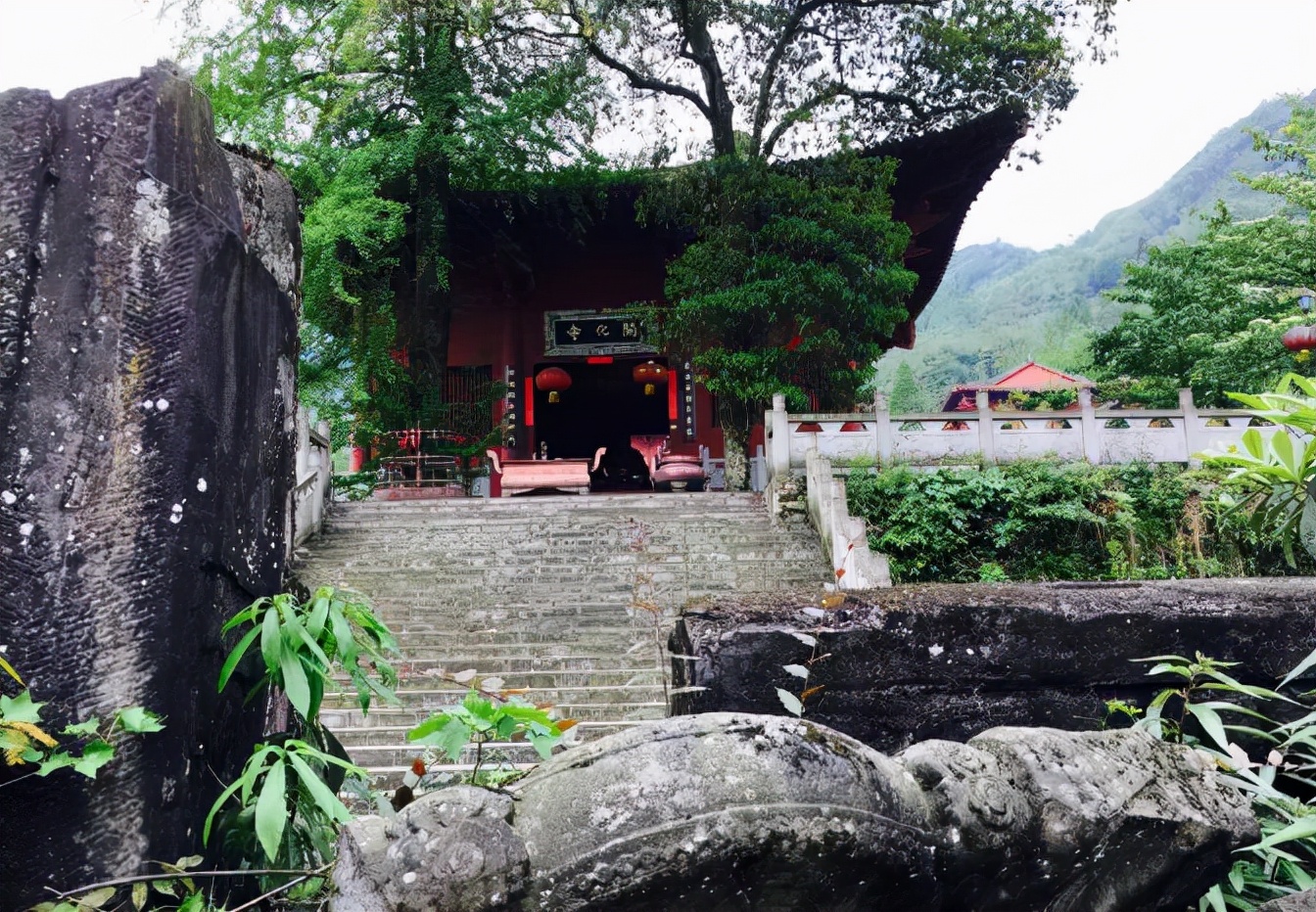 1.5h刹拢！被誉为川版“花城”，这个宝藏好耍地美得不像话