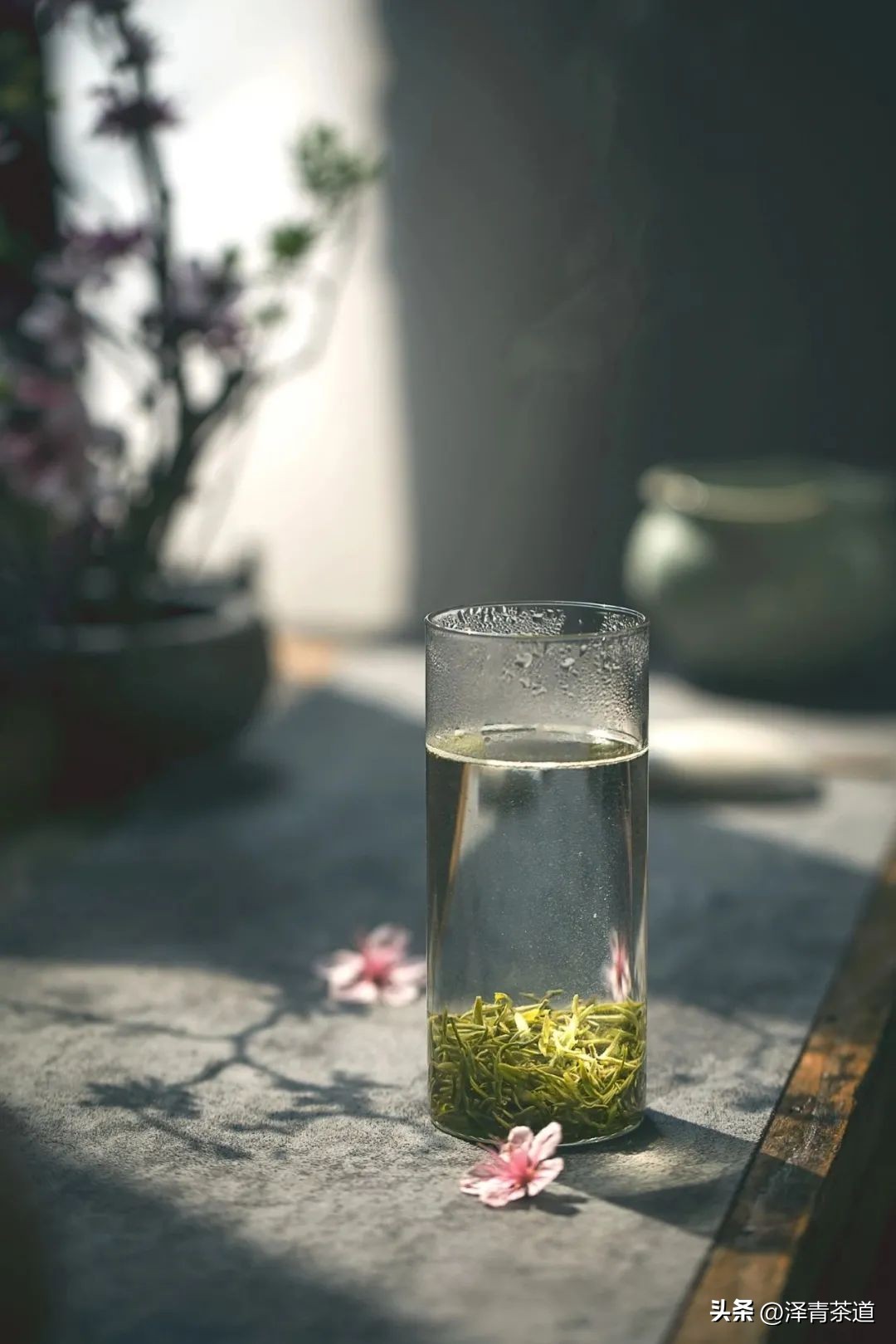 端午节如何吃粽子喝茶更健康,端午节吃粽子搭配茶解腻更健康