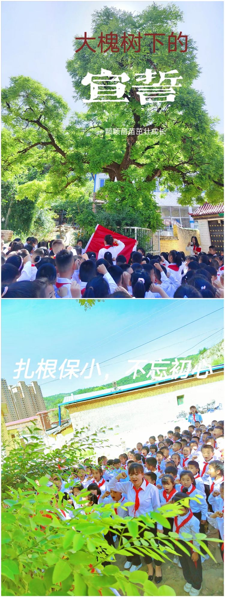 争做新时代的好少年队日活动总结,喜迎二十大争做好队员建队日主题