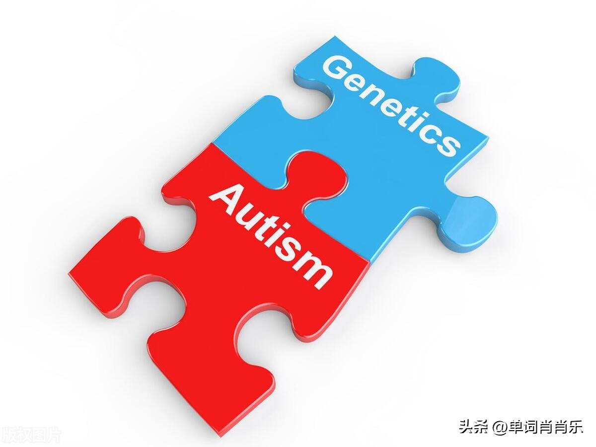 有言有味说单词,有言有味说单词视频