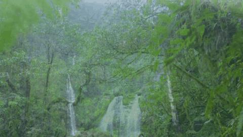 逛吃逛吃逛吃，跟着动车出发3.0