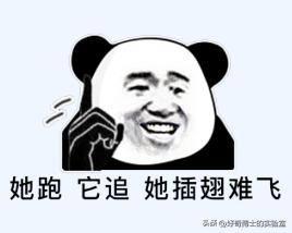 女生来大姨妈，为什么有的痛得要死，有的没啥感觉？