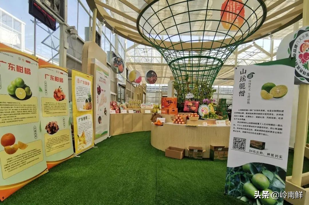 好产品卖到哪才有高溢价？广东种博会“粤字号”六大水果又火了