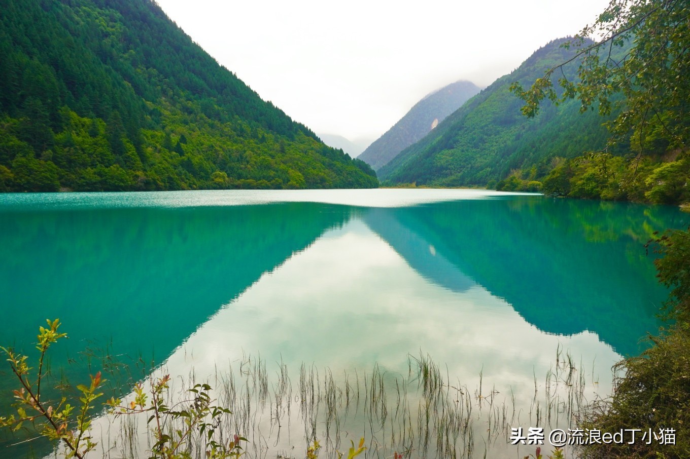 九寨沟里最美酒店,九寨沟顶级风景酒店