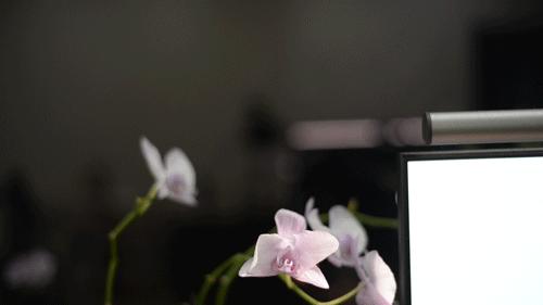 升降桌材质,电动升降桌如何设置