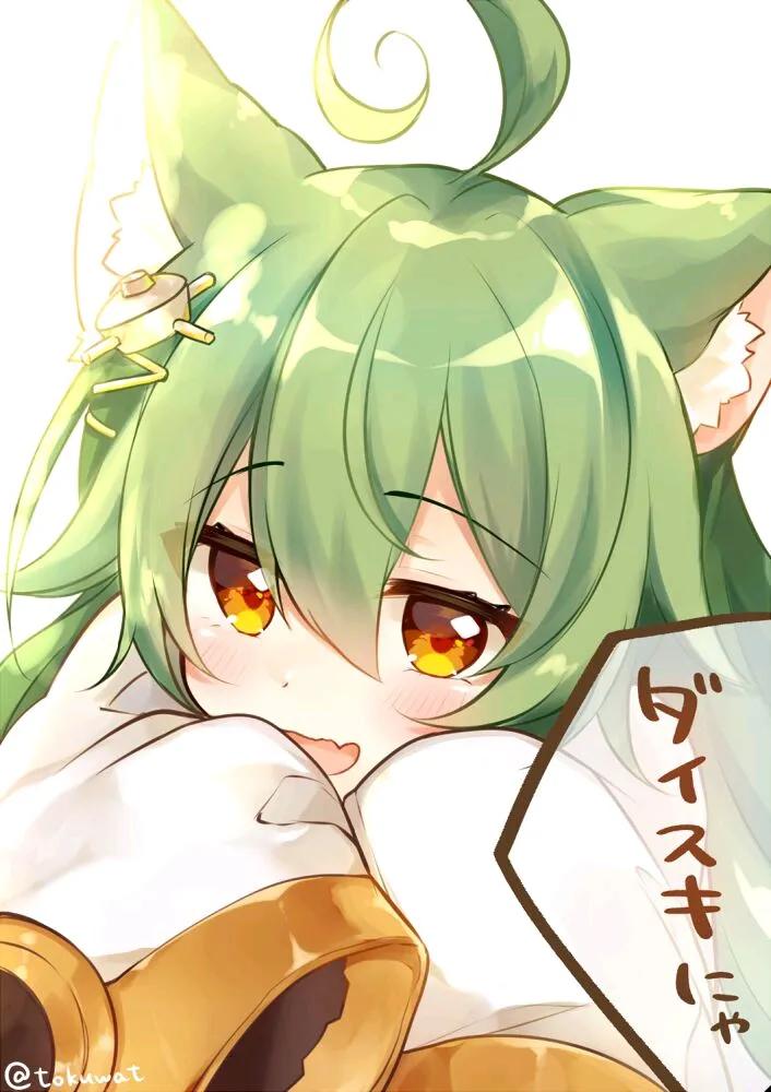 二次元小猫美图,二次元白喵美图