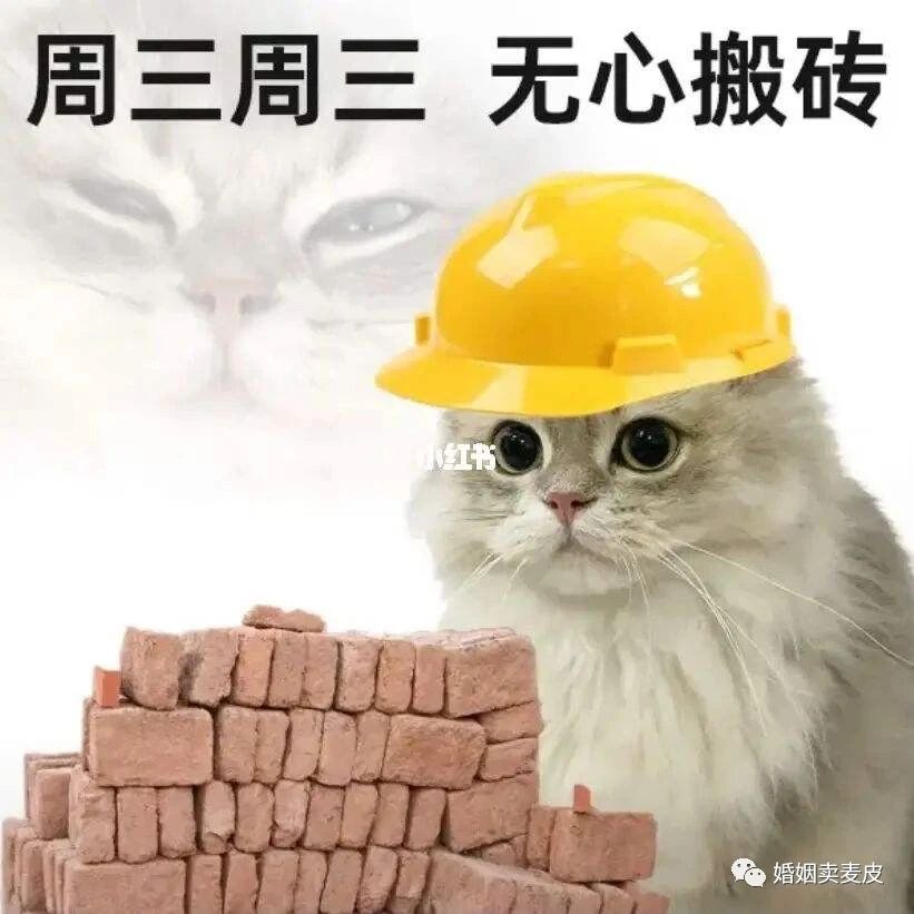 上班的意义杨绛,上班的意义到底是什么