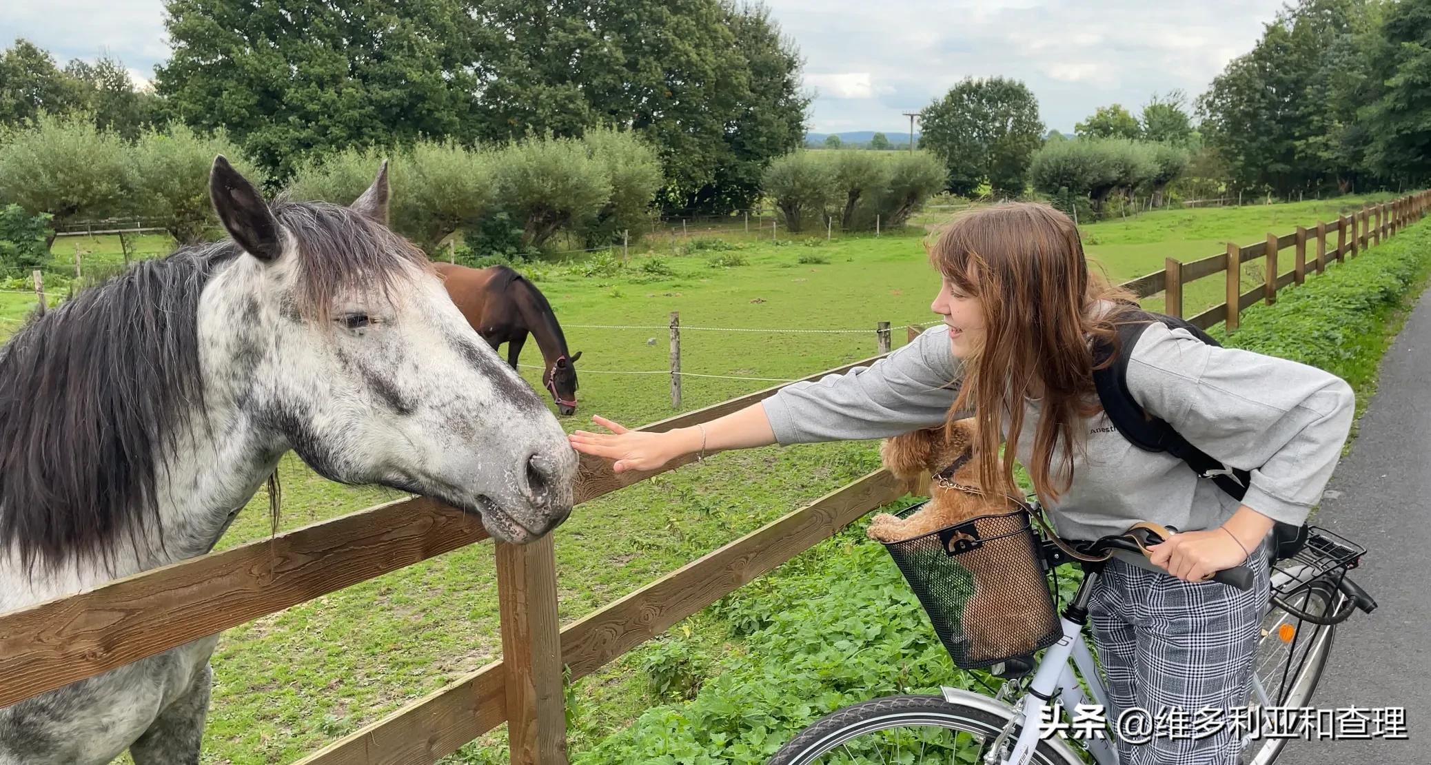 德国亚琛美女，会3国语言，喜欢中国文化，在中国找到归宿！