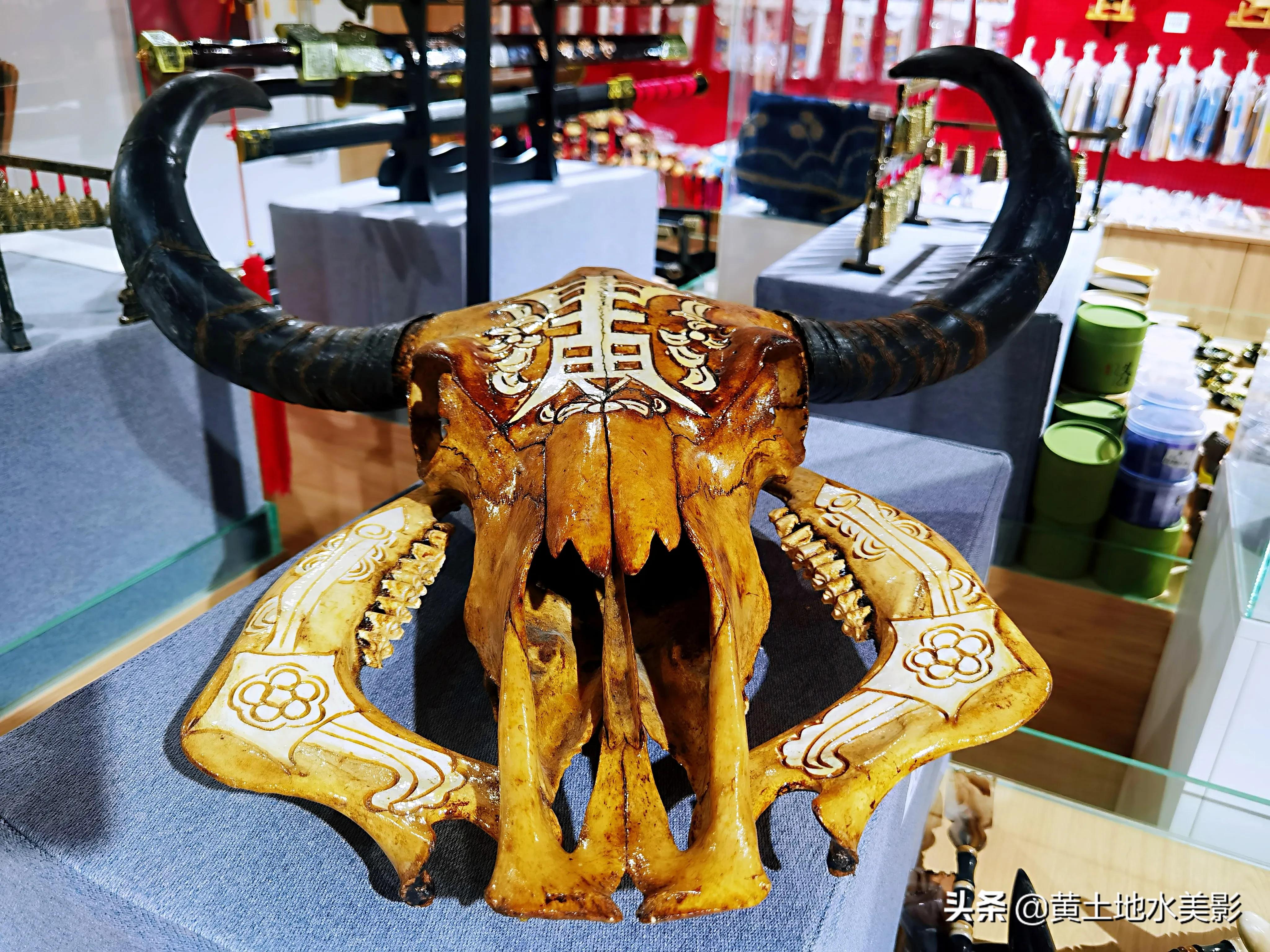 河洛古城打卡,河洛文化探秘