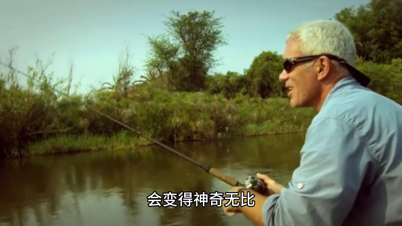 梦到钓鱼有什么寓意,梦到钓鱼是什么意思而且鱼很多