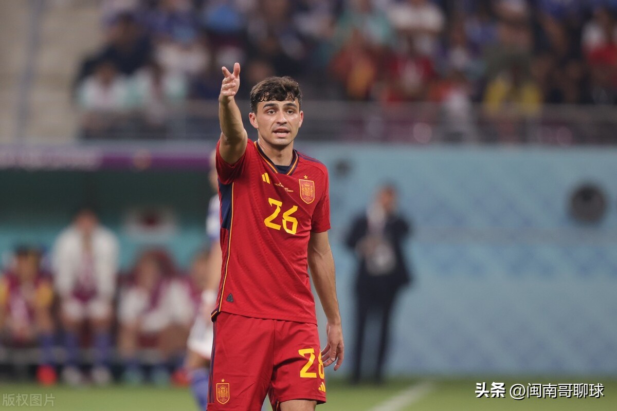 瑞士现役足球巨星排名榜,瑞士著名足球运动员