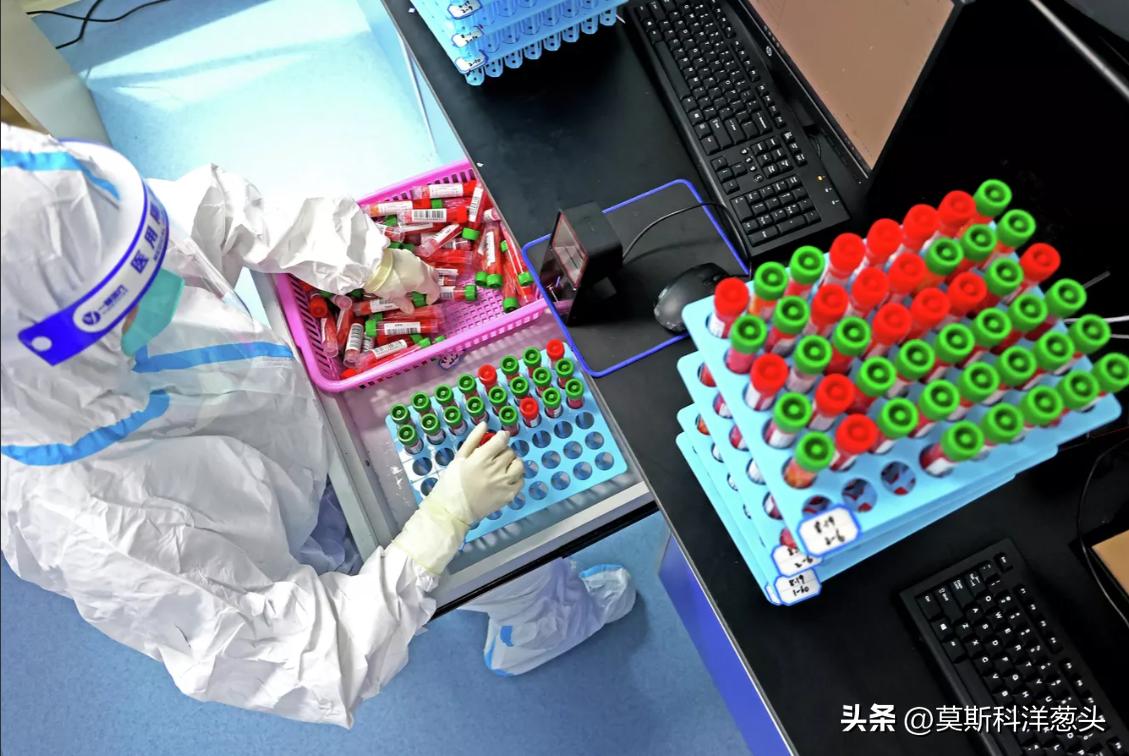 大鹅看日本财务省数据我们能猜出什么？