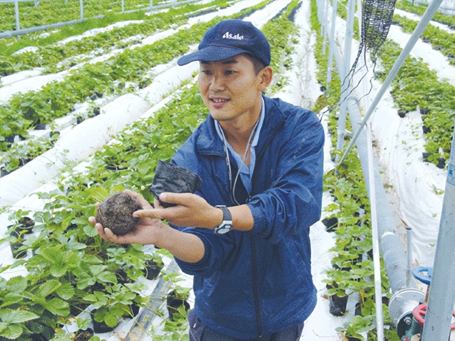 2006年日企在中国租1500亩地，5年不种庄稼，项目最后入不敷出