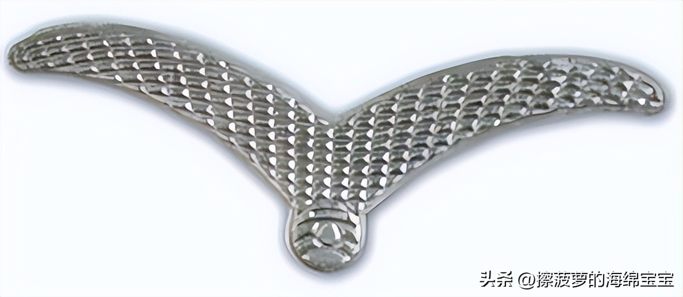 二战德国将军军衔图案,二战德国突击队队长军衔