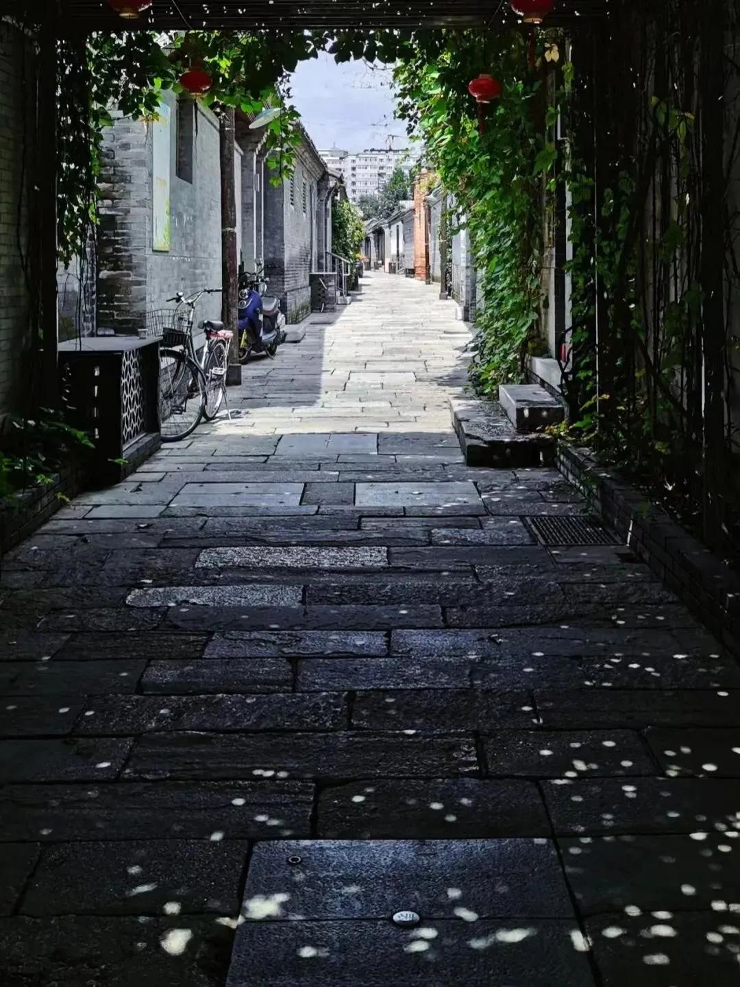 老北京胡同里接地气的生活,老北京胡同的烟火气