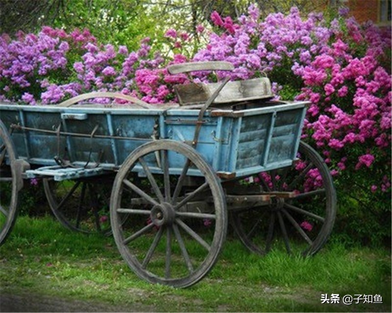 哪个星座容易产生依赖对象呢,越是冷落对你越依赖的五大星座