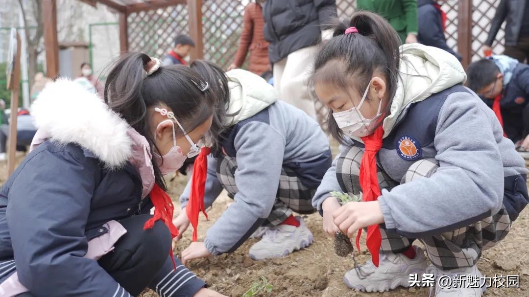 劳动创造幸福创意活动小学,劳动创造美好生活小学活动