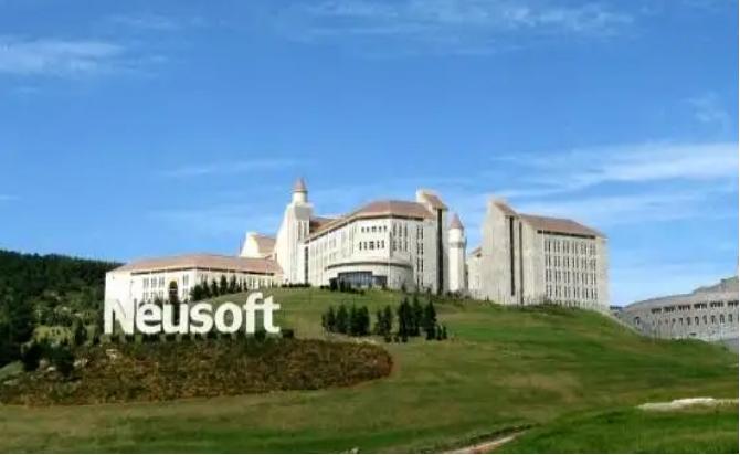 东软张晓鸥,东软集团高管张晓鸥