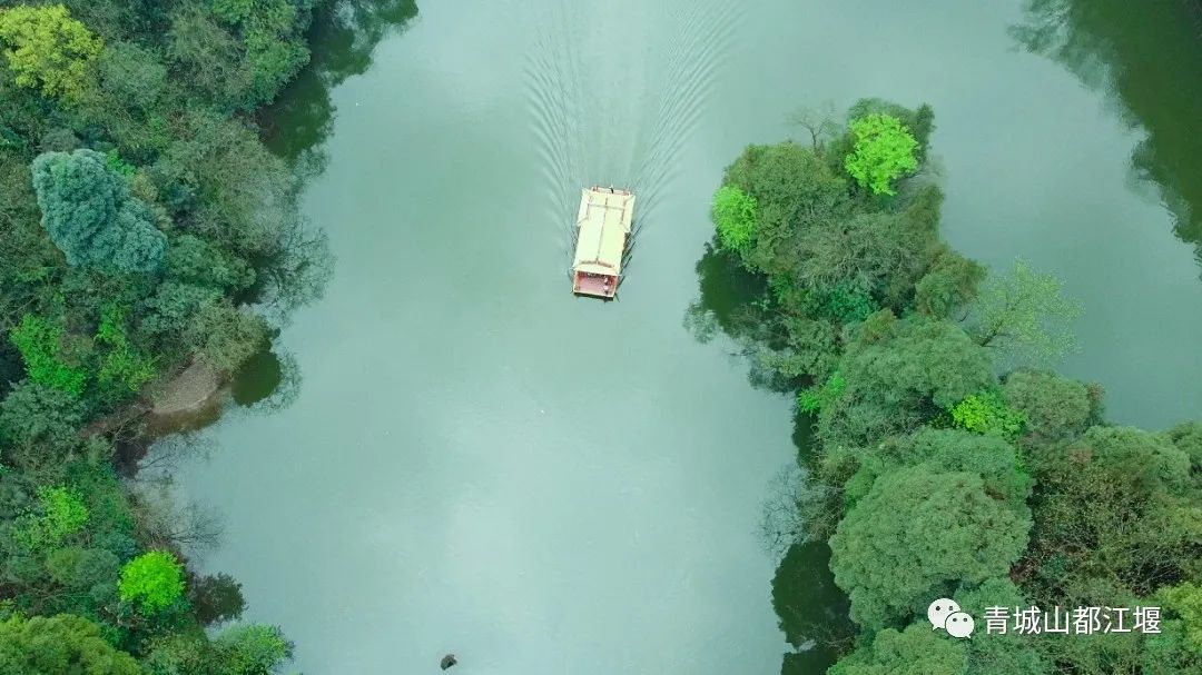 青城山森林秘境,青城山风光好去处