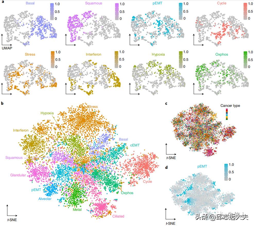 泛癌分析是怎么找到特定的基因的,癌细胞分析最新研究