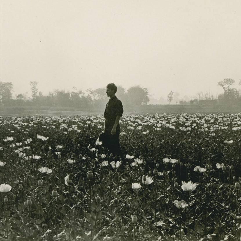 清朝有多少两白银,清朝拥有全世界多少财富